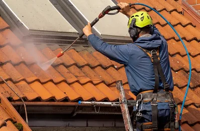 Démoussage et hydrofuge de toiture à Petit-Landau